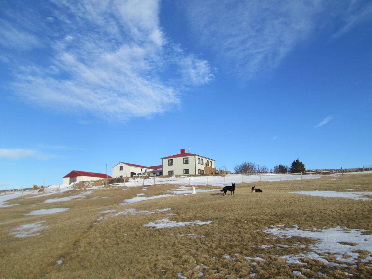 Grasteinn Guesthouse Thorshofn Exterior photo